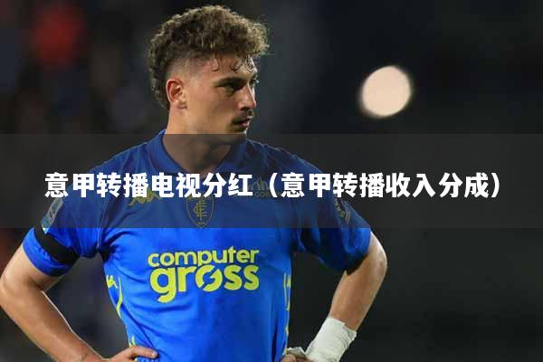意甲转播电视分红（意甲转播收入分成）