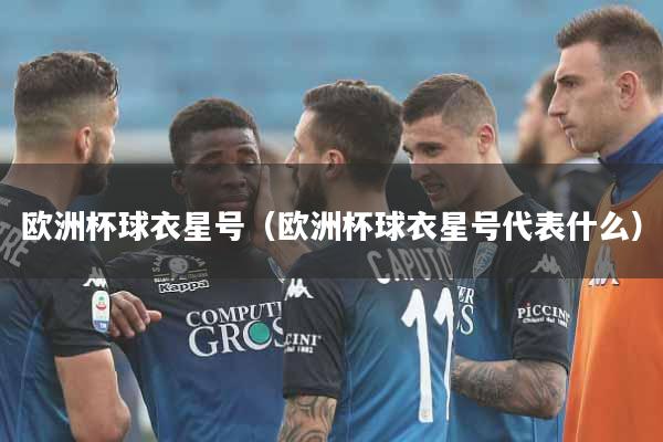 欧洲杯球衣星号（欧洲杯球衣星号代表什么）