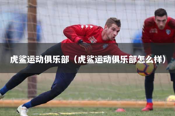 虎鲨运动俱乐部（虎鲨运动俱乐部怎么样）